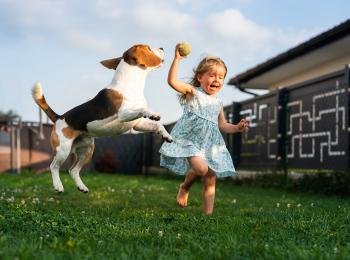 Een meisje en een hond spelen met een bal in de tuin 